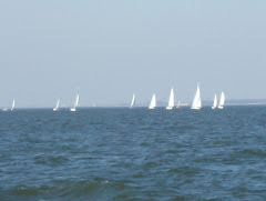 Sailors on Kentucky Lake having a great race.