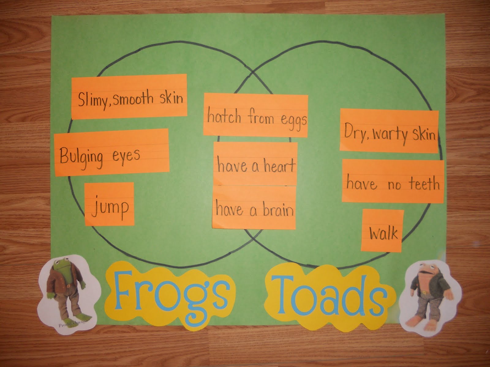 Frog And Toad Venn Diagram Wiring Diagram Database