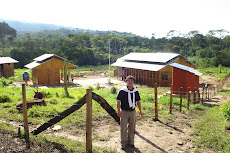 Fernando Del Castillo Tang
