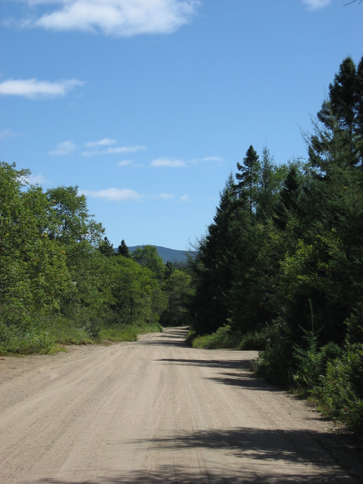 Dave Gibson Return to the Moose River Plains The Adirondack Almanack