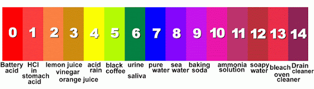SuperSaraSpectacularScienceOfSuperness Acids And Bases Have 2 Different Faces 2 DIFFERENT 