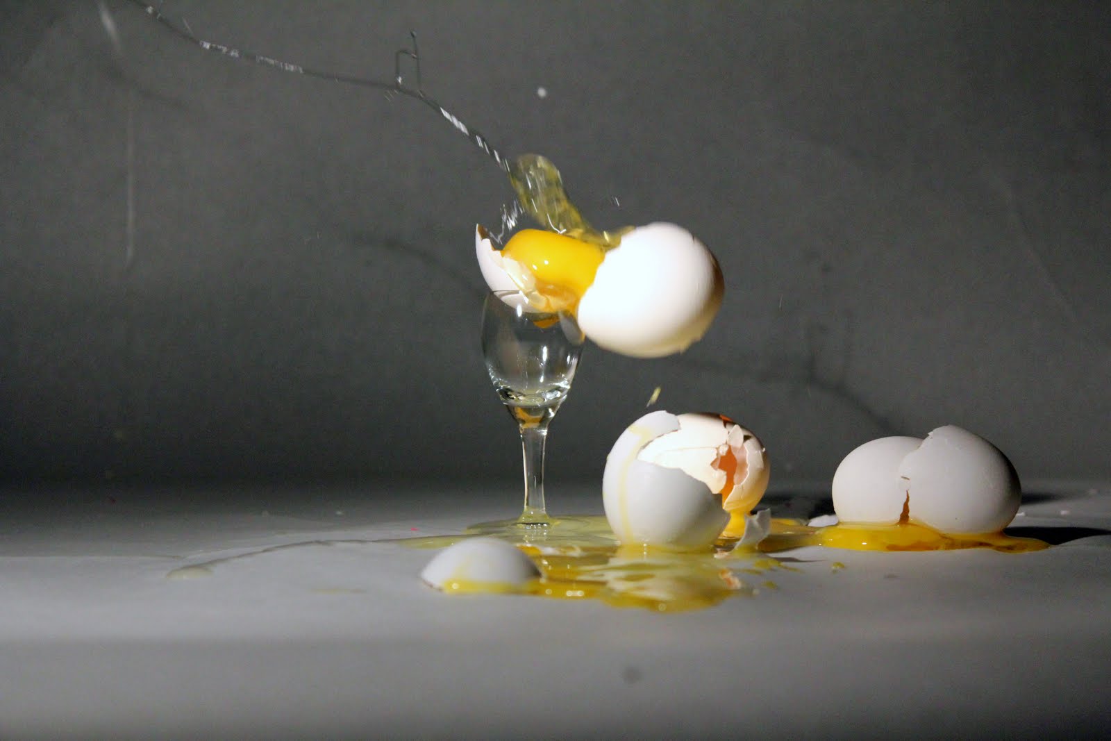 Photography Eggs, eggs, and more eggs!