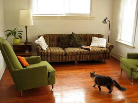 Gatos en casa: Soluciones para que tu gato no arañe el sofá