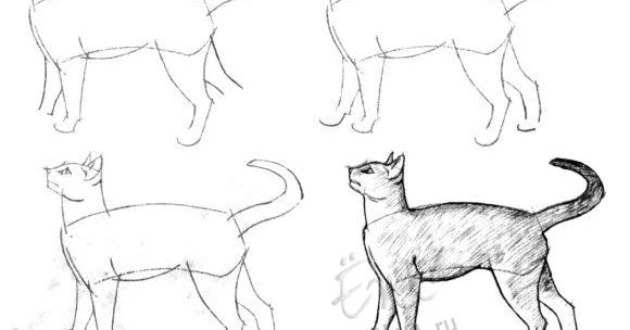 Gatos en casa: Cómo dibujar un gato a lápiz, con bocetos paso a paso