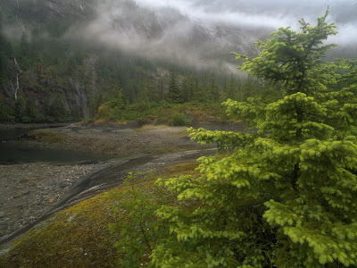 Free Wallpapers Download: HD Landscapes Wallpapers