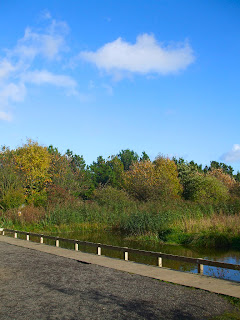 The Rising Sun country park The Rising Sun country park