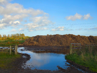 The Rising Sun country park The Rising Sun country park