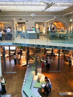 Visitors at The Great North Museum