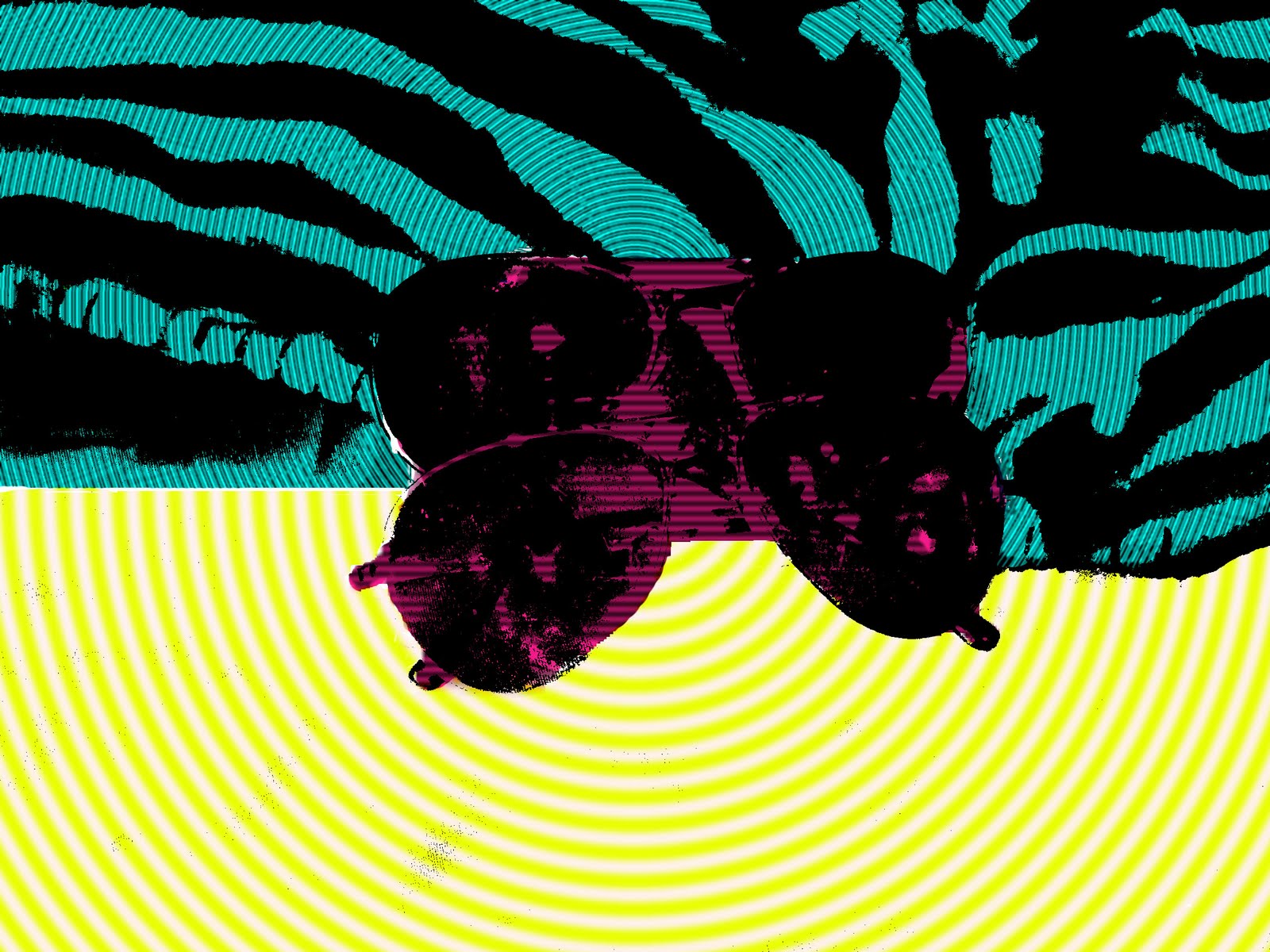 Digital Imaging POP Art Examples digital-imaging-pop-art-examples