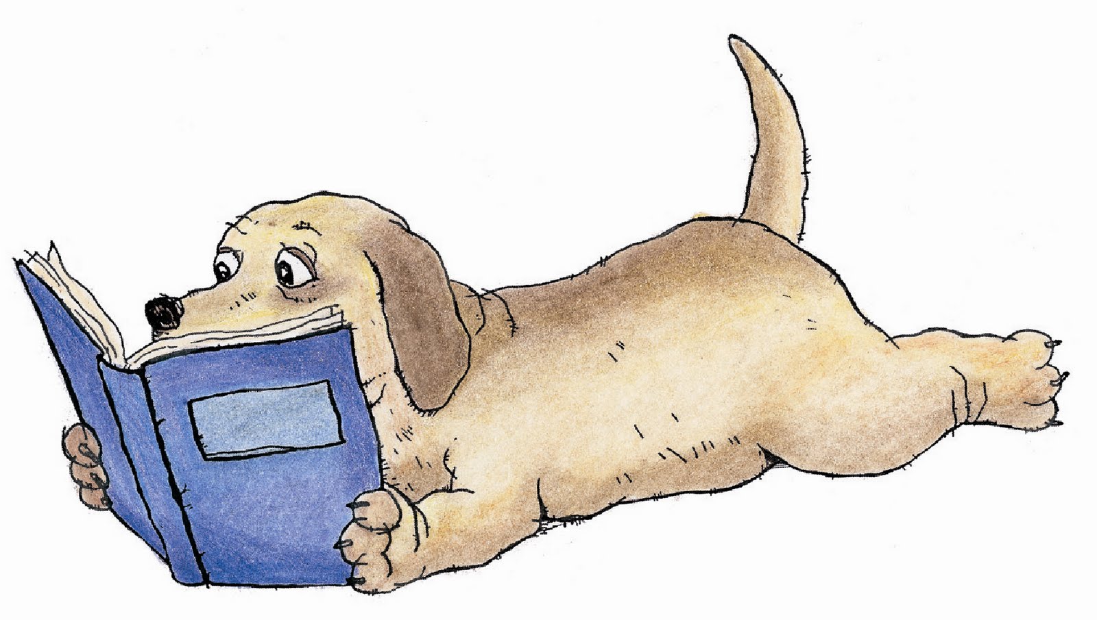 [dog+reading.jpg]