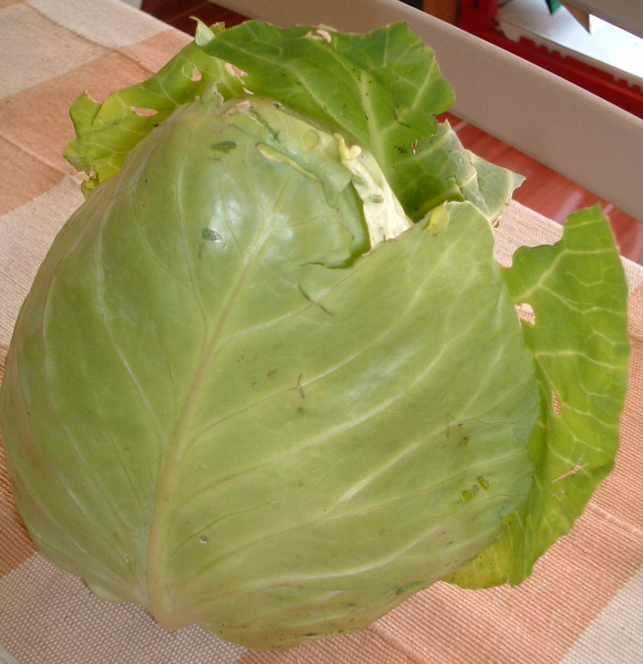 Lanna Style... Heart Cabbage Pad Prik