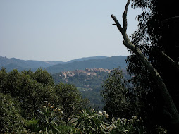 VUE DEPUIS LA MAISON DE LA  VIEILLE VILLE PORTO VECCHIO