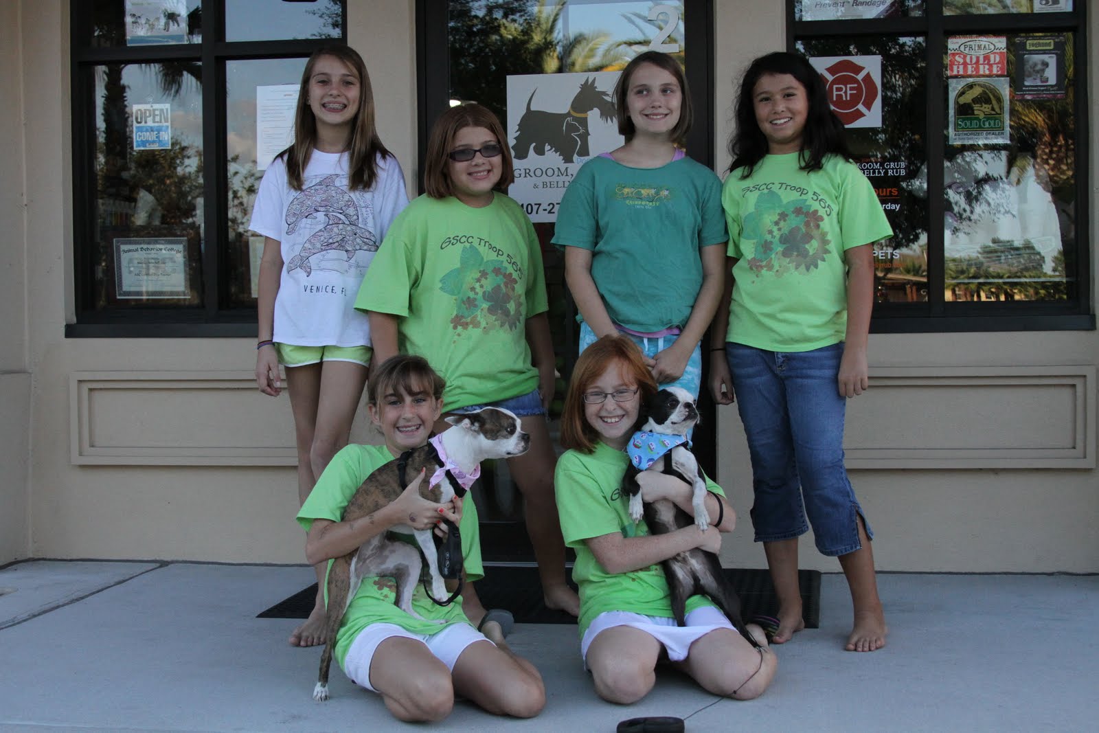 The Doglando Blog Orlando Dog Grooming Orlando Dog Training Dog
