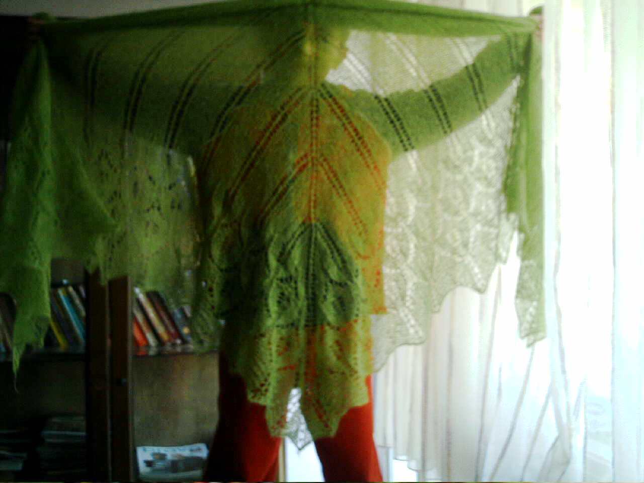 [IMAG0047.JPG]