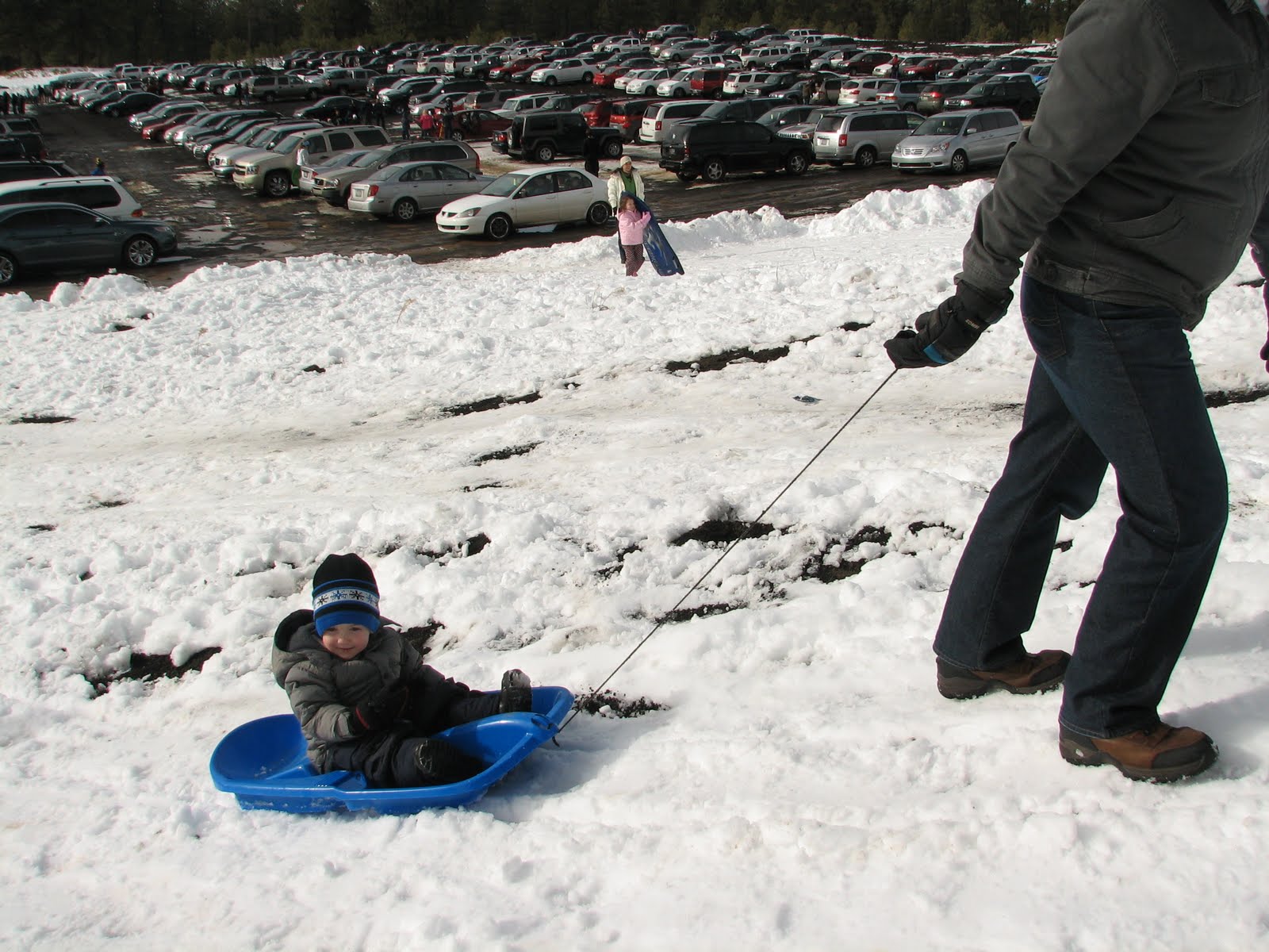 The Tetlow's Sledding in Flagstaff