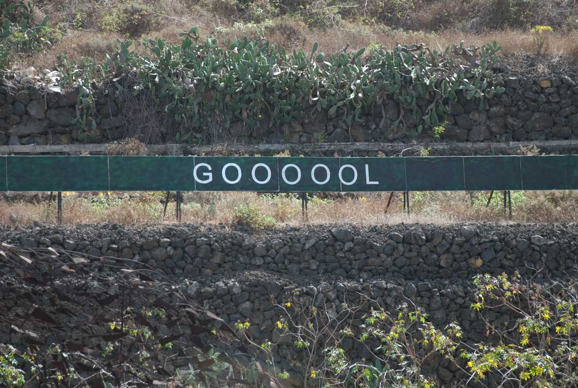 Goooool Goooool