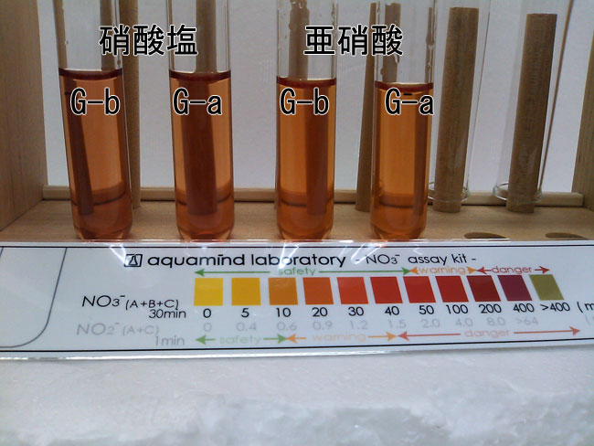 [SN3G0101.jpg]