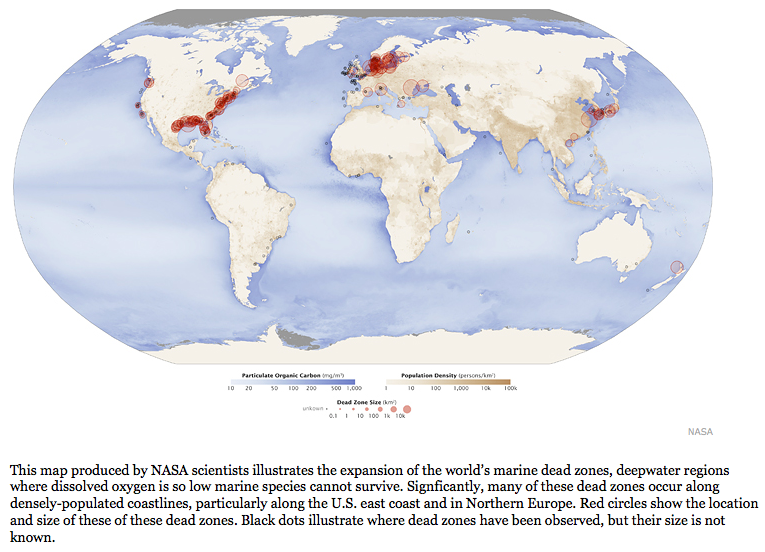 Riversphere Map Illustrates Extent of World’s Marine Dead Zones