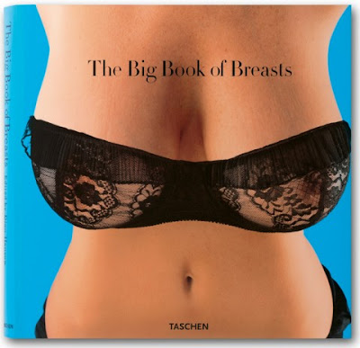 cover_fo_big_book_of_breasts_0705301723_id_11494.jpg