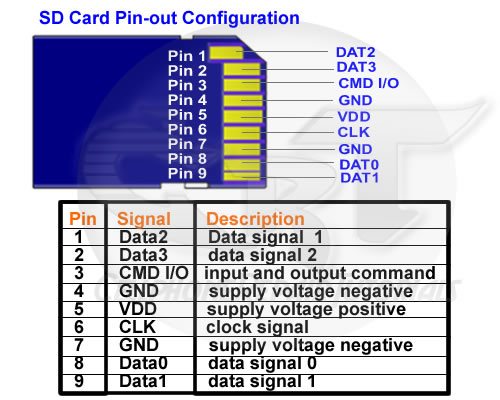 SD+card+pinout.jpg