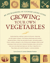 Growing Your Own Vegetables