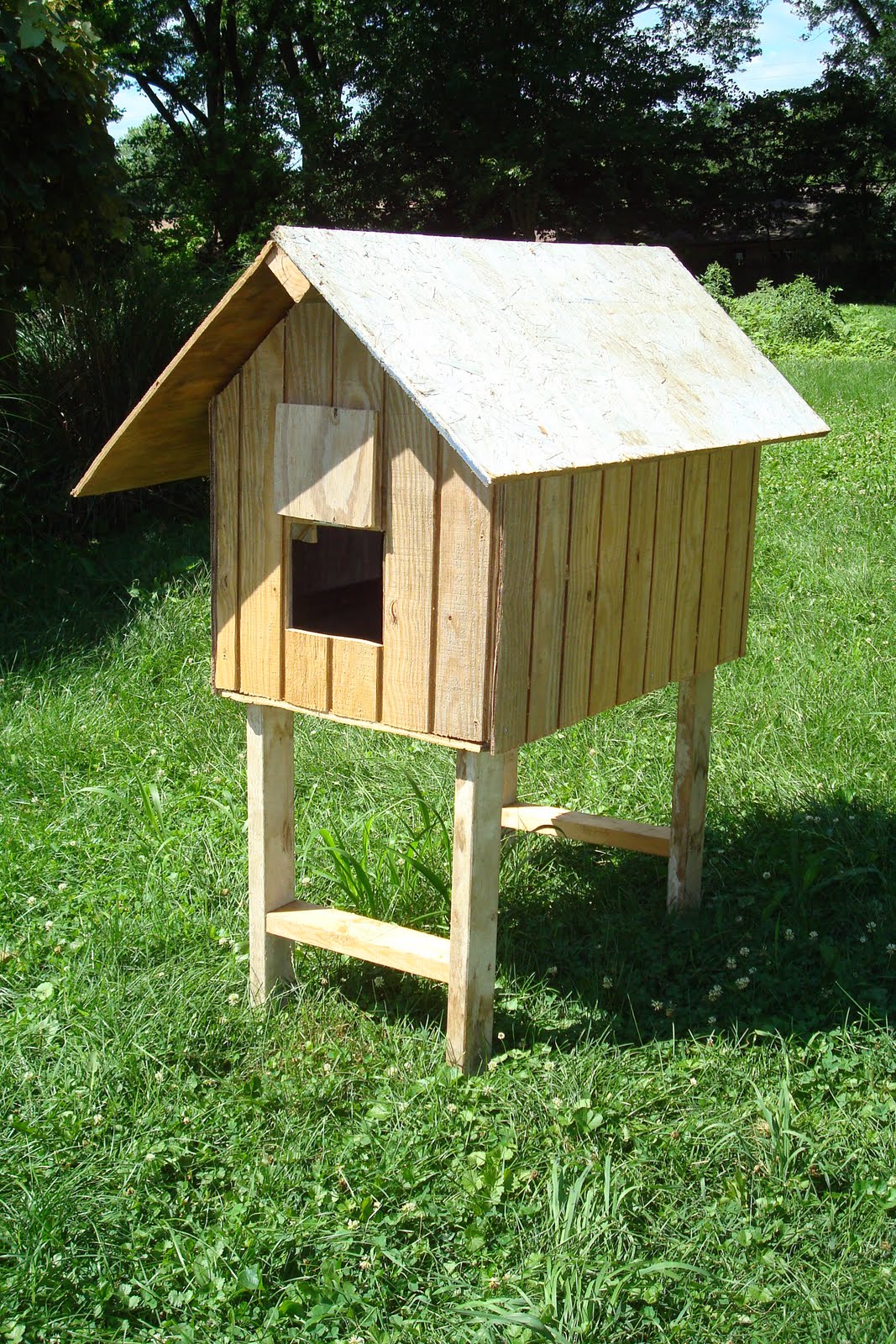 Lucas Here Building a chicken coop for silkies