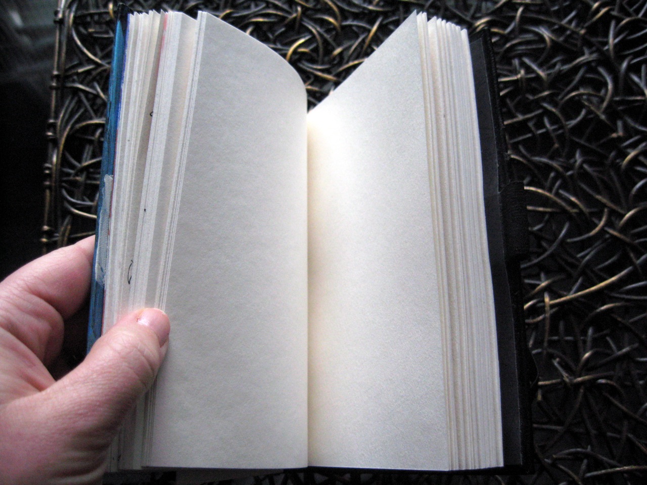 Michelle Brunner Books that Inspire