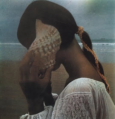 DavidHamilton.jpg