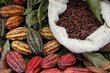 SEXY RAW COCO ENDORPHINS