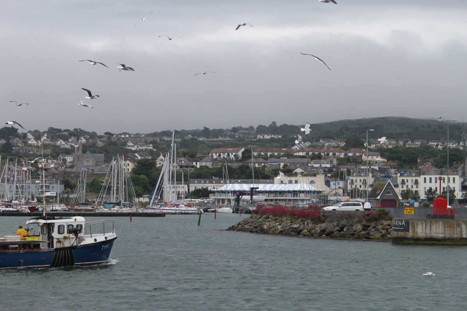 Elijah Howth Fishing Village, Ireland