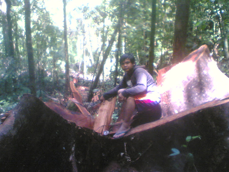 Hutan Lindung Bawang Kabupaten Bengkayang