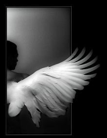 [angel.jpg]