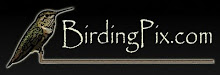 Visit BirdingPix.com Website
