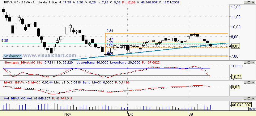 [BBVA(13-01-2009).PNG]