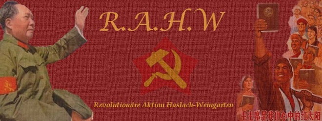 Revolutionärer Aufbau Haslach Weingarten