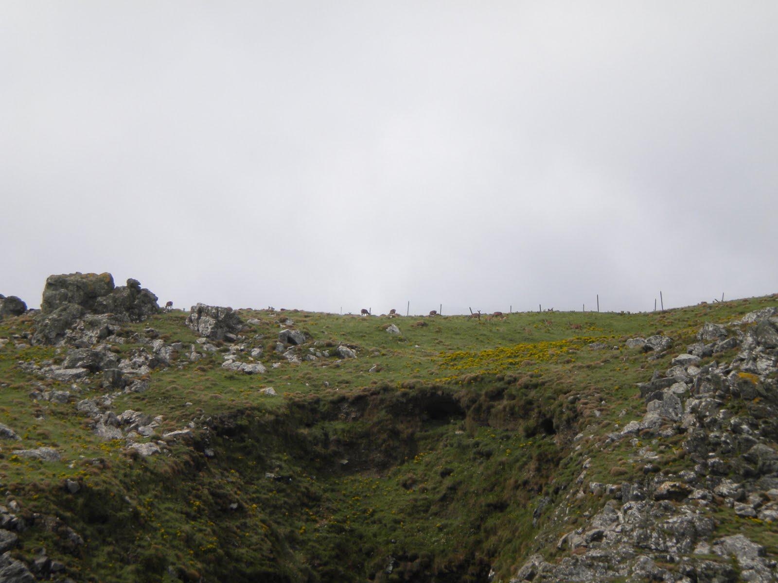 Casting About Singapore: Ireland 2010: The Blasket Islands