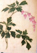 Yun shouping1633- 1690