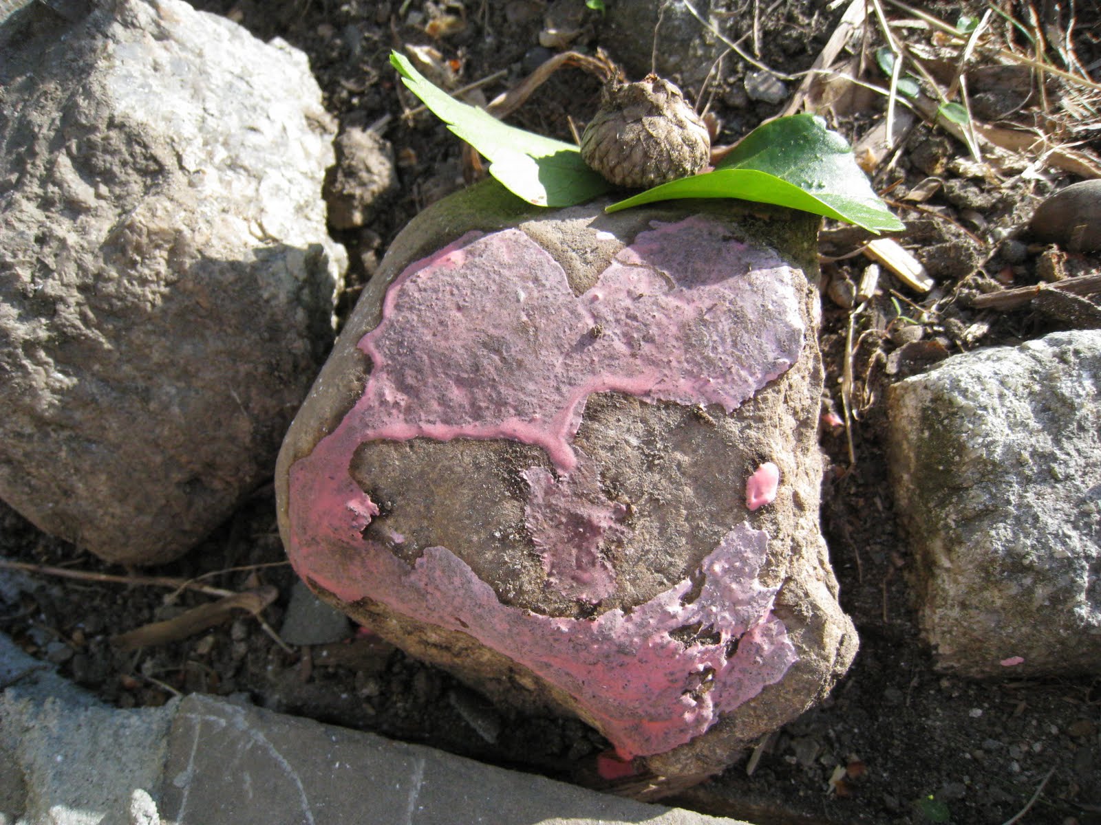 4 Crazy Kings Corn Starch + Water + Food Coloring + Sunshine = Hours