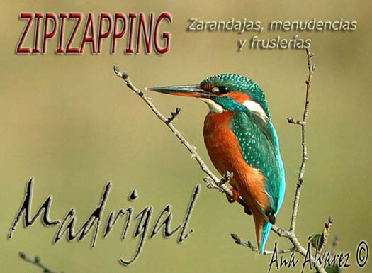 zipizapping