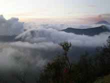 Bromo-Tengger-Semeru National Park, Indonesia - January 2009