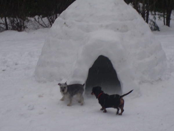 [igloo+3.JPG]