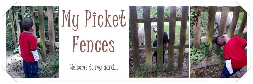 My Picket Fences