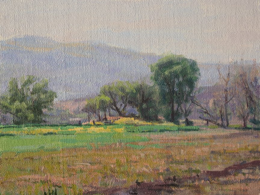 [trees+along+the+river.jpg]