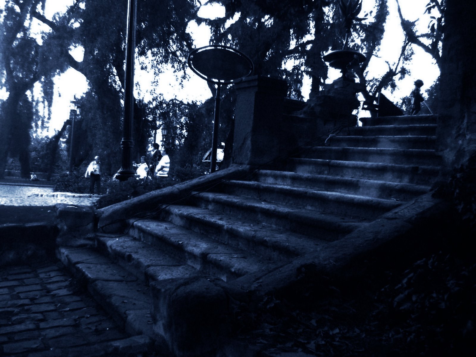 [DSC05477+copia.jpg]