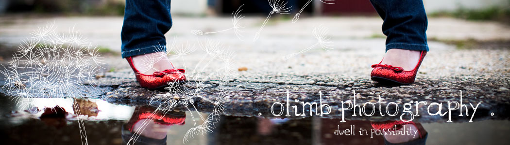 Olimb Photography Blog