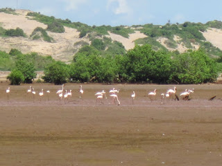 sabaki estuary sabaki estuary