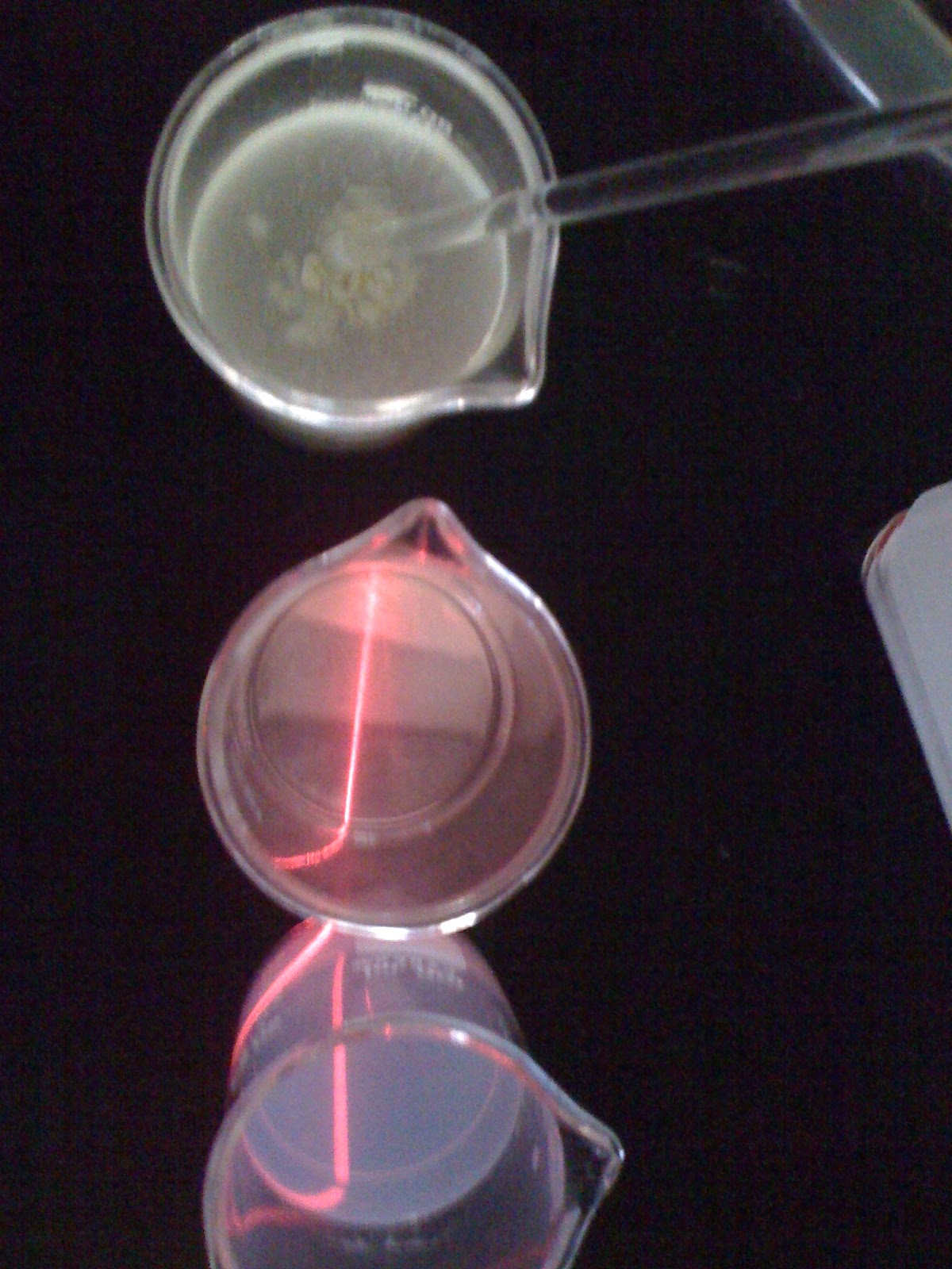 Química 1 Práctica 7 "Gel.... gelatina"