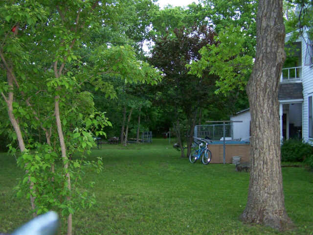 [2ndstreetbackyard.jpg]