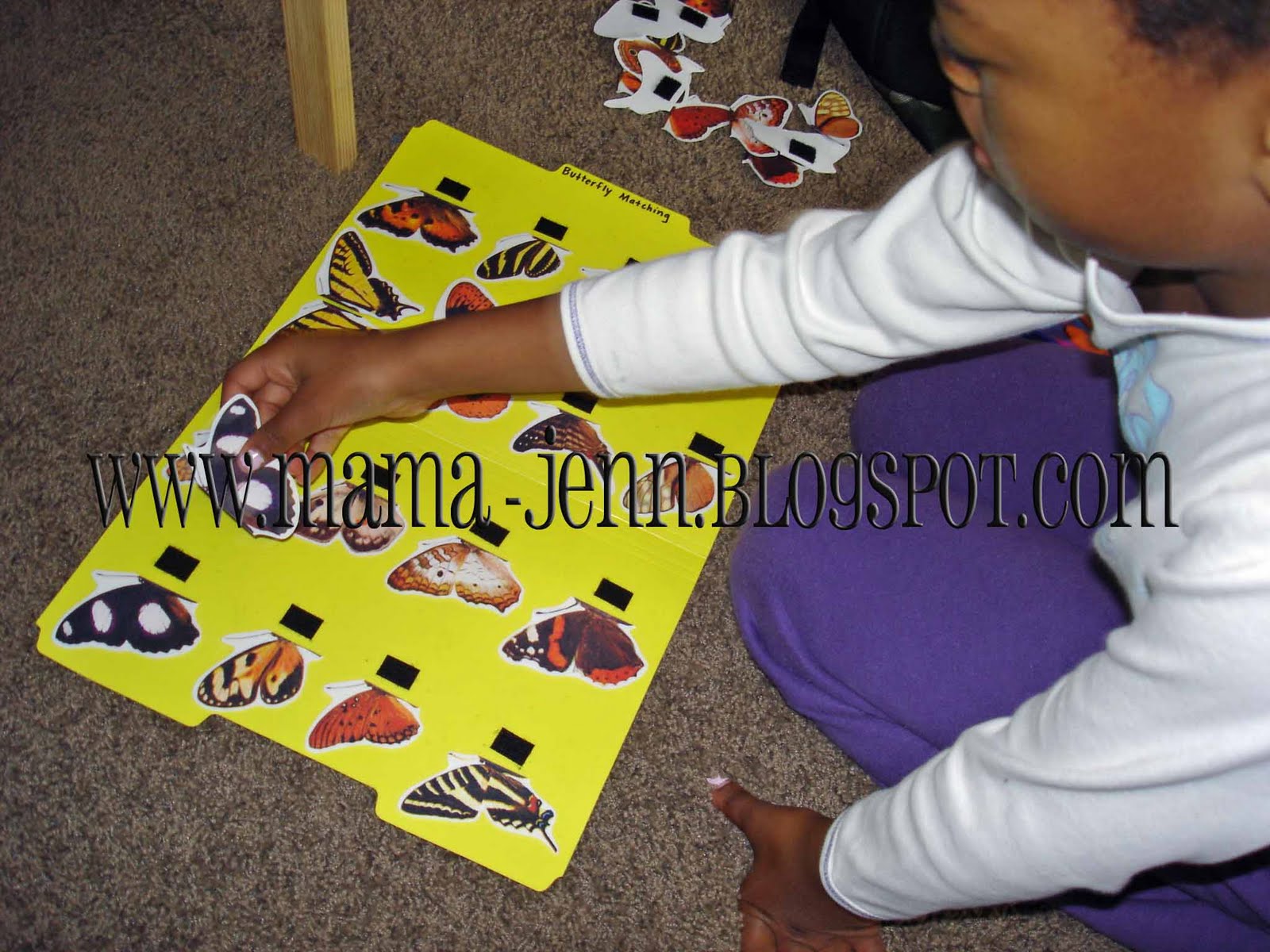 [butterfly+game.jpg]