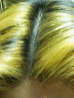 前髪だけを金髪に染めてみたの巻。